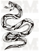 /album/draky-plazy/draci-hady-39-jpg/